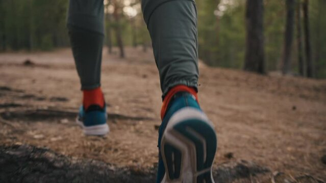 Rear view of a man running along a forest path over cones and roots of trees in slow motion, sneakers close-up