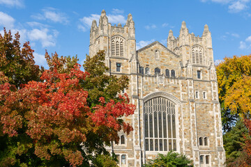 Fototapeta na wymiar Law building at the University of Michigan in autumn