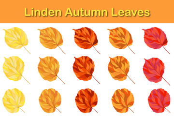 Autumn Linden Leaf Set