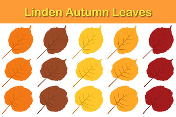 Obraz premium Autumn Linden Leaf Set