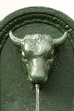 Traditional fountain of Turin town, Italy. The bull is the symbol of the town
