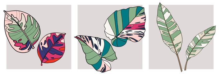 Set of trendy minimalist colorful botanical vector illustration. Print, poster, banner, wallpaper. Plant leaves in pop art style. 