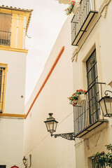 Spain, Seville 10-18-2022: the city seville in autumn