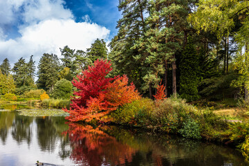 Bedgebruy forest, home to a world leading collection of conifers and is a centre for international...