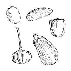 Vegan food vegetables set vector illustration, hand drawing