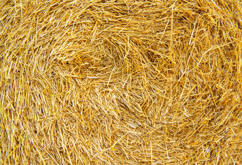 Hay texture. Hay bales are stacked in large stacks. Harvesting in agriculture.