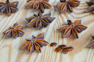 Star anise fruits and seeds. It is widely used in China, India, Indonesia and other asian countries. Illicium verum is a popular spice in many cuisine around the world.