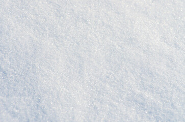 Obraz premium background white of fresh snow