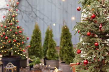 Christmas tree with red decorations outdoors