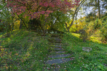 Fototapete bei efototapeten.de bestellen   