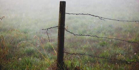 Closeup of wire fence in foggy morning