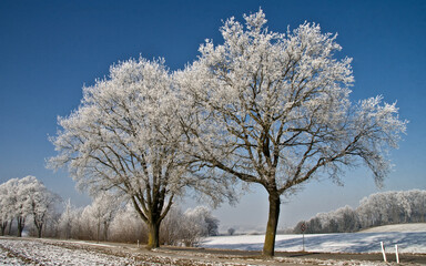 Winterlandschaft