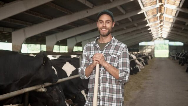 Close up of Caucasian handsome happy male worker indoors in cowshed holding shovel in hands and looking at camera. Joyful adult man farmer smiling in barn with cows. Livestock, cowhouse worker