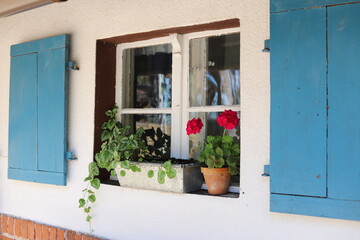Rural house detail: window with white frames, wooden blue shutters and flowers in pots on the windowsill