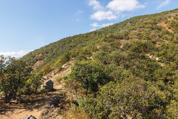 Slopes of Ayu Dag mountain in Crimea