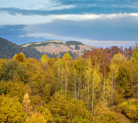 Fototapeta premium Autumn morning Carpathian Mountains calm picturesque scene, Ukraine. Peaceful traveling, seasonal, nature and countryside beauty concept scene.