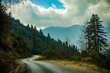Scenic view of an empty country road on the mountain slope with dense spruce forests