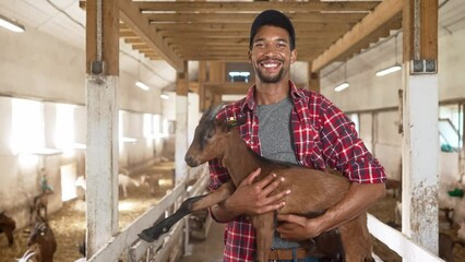 Portrait of handsome African American young male farmer in cap looking at camera and smiling holding in hands goat standing in shed. Positive man caressing baby animal goat at domestic farm