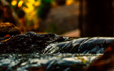 Smooth cascade of a small stream of freshwater. Sunlight creates colorful shades in the background.
