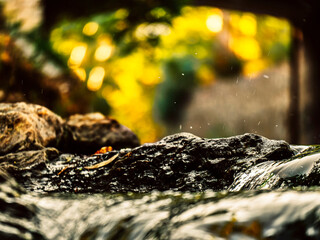 Smooth cascade of a small stream of freshwater. Sunlight creates colorful shades in the background.
