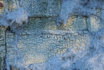 texture from an old wooden wall on a door with white paint in cracks and pieces of upholstery wool