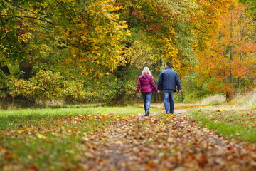 Lovers walking in the autumn park