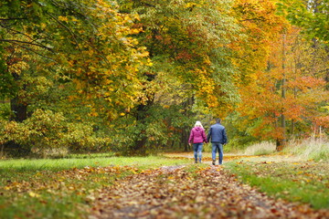 Obraz premium Lovers walking in the autumn park