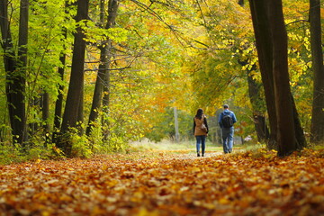 Lovers walking in the autumn park