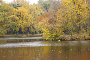 Park in Świerklaniec, Fall season