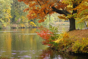 Park in Świerklaniec, Fall season
