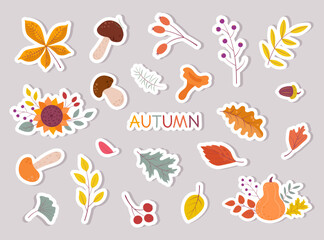 Obraz premium A collection of autumn stickers with cute seasonal elements. Autumn set of icons: falling leaves, pumpkin, sunflower, mushrooms, berries.