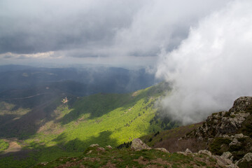 Forest during autumn full of trees of different colors and fog