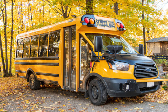 Chrome Yellow Micro School Bus In Autumn 