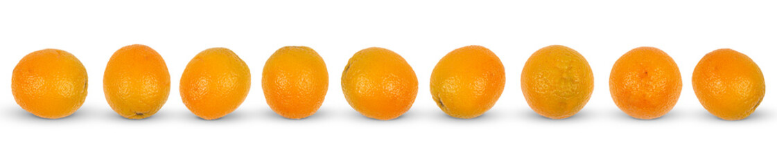 Banner with nine lime oranges isolated on white background