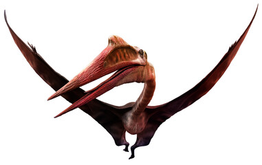 Quetzalcoatlus from the Cretaceous era 3D illustration   © warpaintcobra