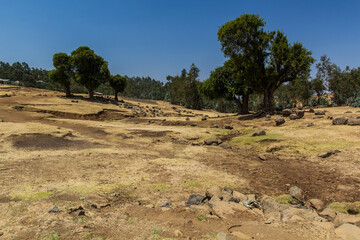 Rural landscape near Kosoye village, Ethiopia