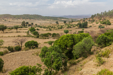 Fototapeta na wymiar Rural landscape near Axum, Ethiopia