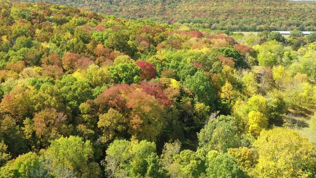 Aerial view of beautiful mountain valley with autumn fall colors on a  Tennessee, poultry farm, chicken houses in the background.