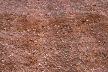 Red soil in the forest