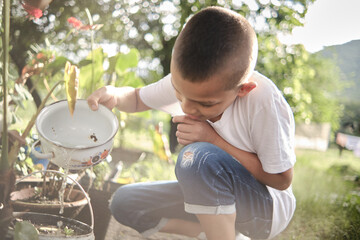 latin boy crouching down watering a plant with a bowl of water in the field