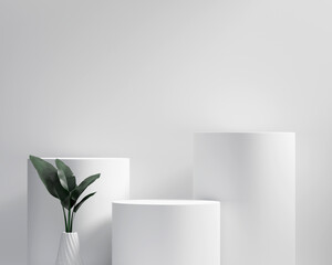 3D rendering platform podium with plant product presentation background