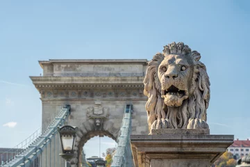 Photo sur Plexiglas Széchenyi lánchíd Lion Sculpture at Szechenyi Chain Bridge - Budapest, Hungary
