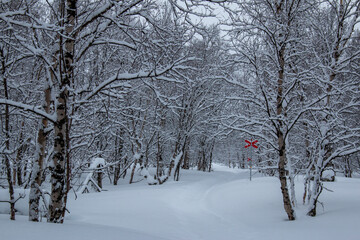 A skiing Kungsleden trail between Abiskojaure and Alesjaure mountain huts, winter season, Lapland, Sweden
