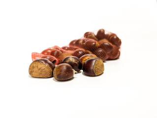 秋の味覚 袋から出したそのままの栗