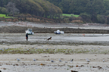 paysage de la côte bretonne à nantouar en bretagne