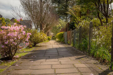 Araucarias and flowers in Sidewalk at sunset, Gramado, Rio Grande do Sul, Brazil