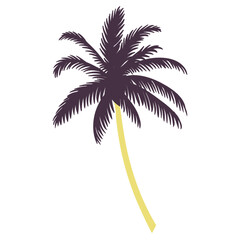 Isolated silhouette of a palm tree Vector