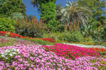 Idyllic mediterranean garden and flowers at sunny springtime in Lake Como, Italy