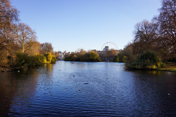 Scene of lake and withered trees in morning at park in London with clear blue sky background.