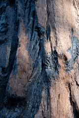 texture of the stone